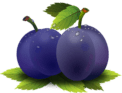 plum, fruit, fruits-1992429.jpg